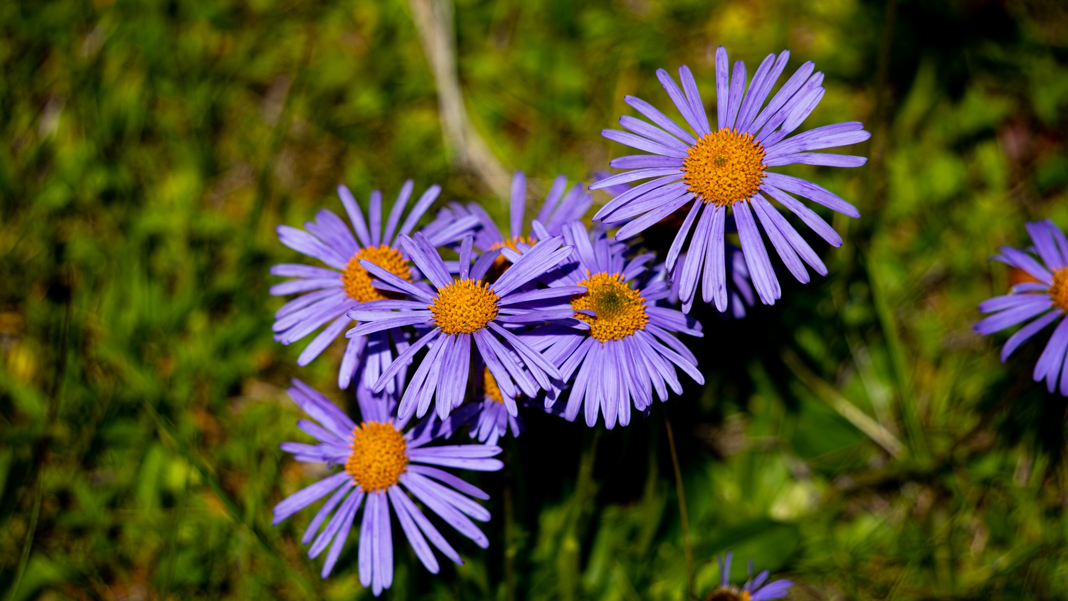 DSC01443.jpg
