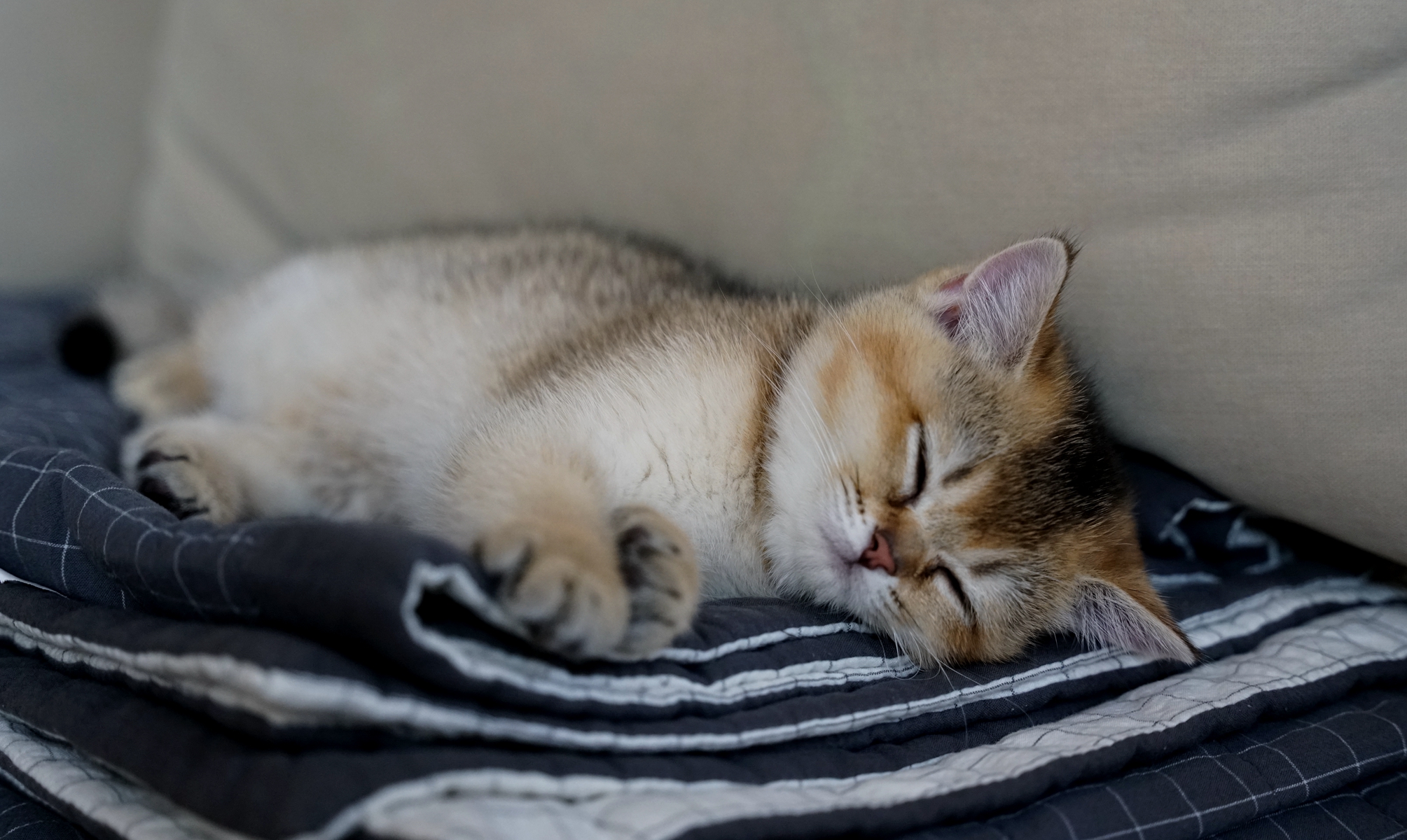 DSC03548_副本.jpg