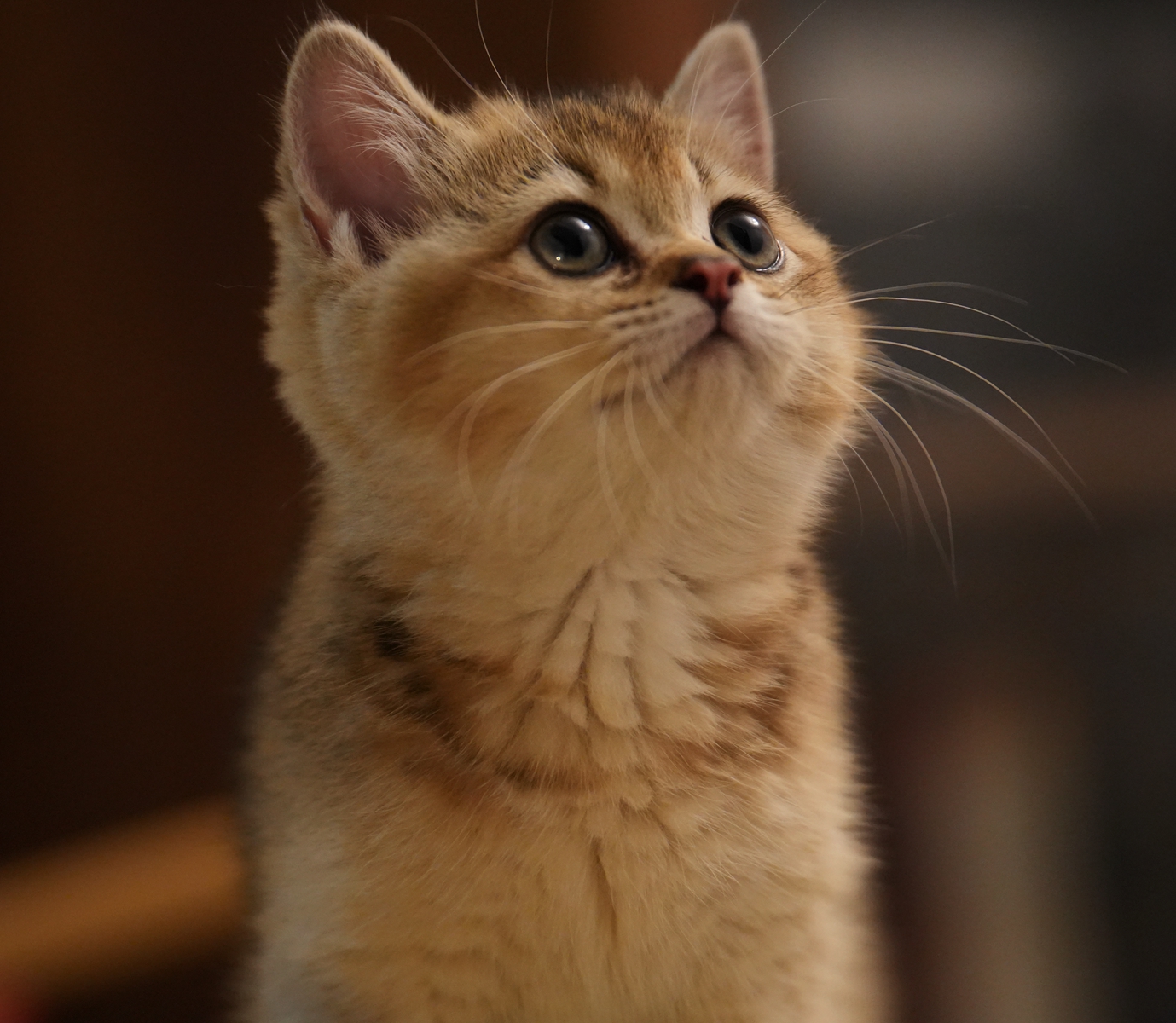 DSC03607_副本.jpg