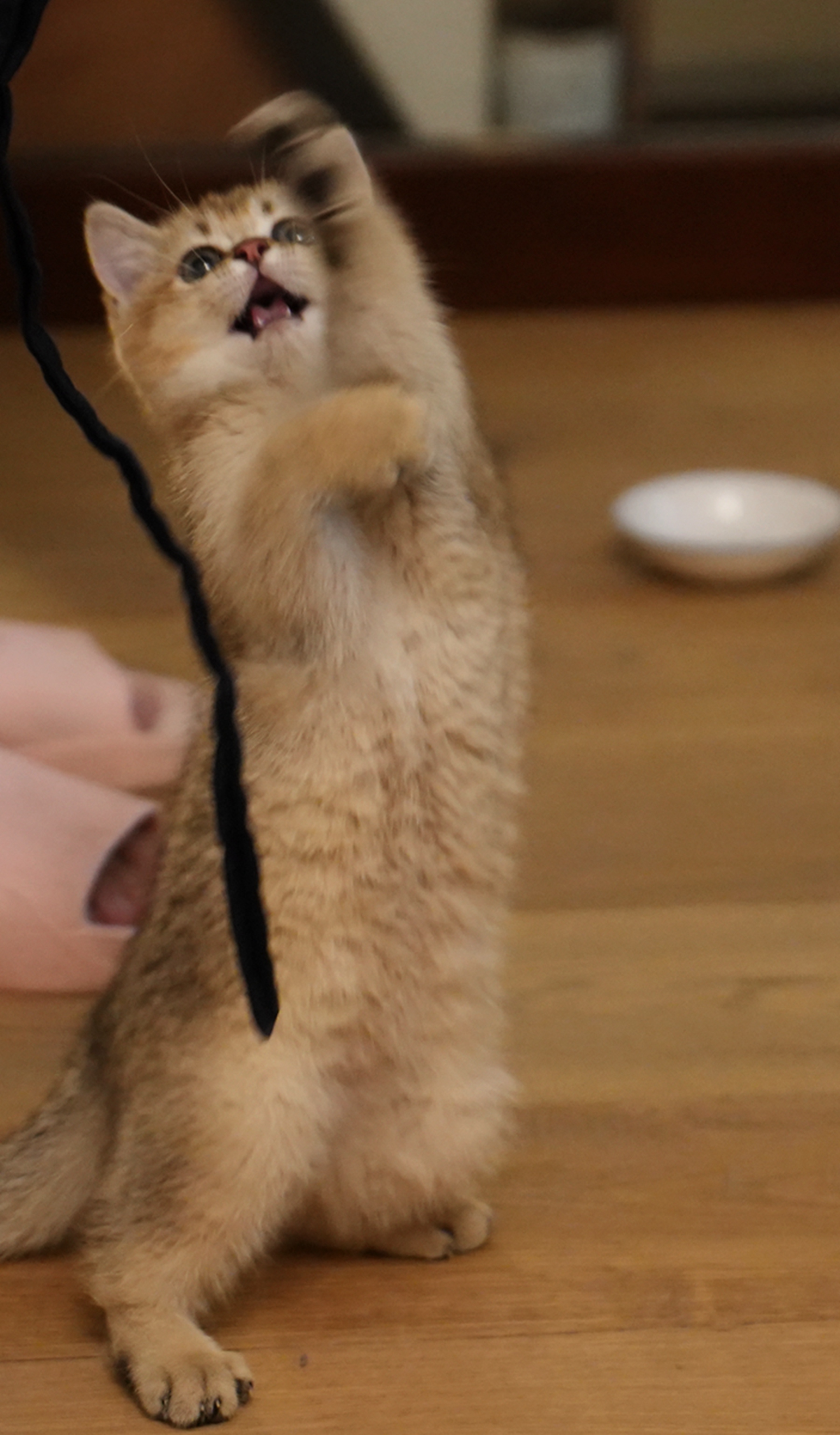 DSC03620_副本.jpg