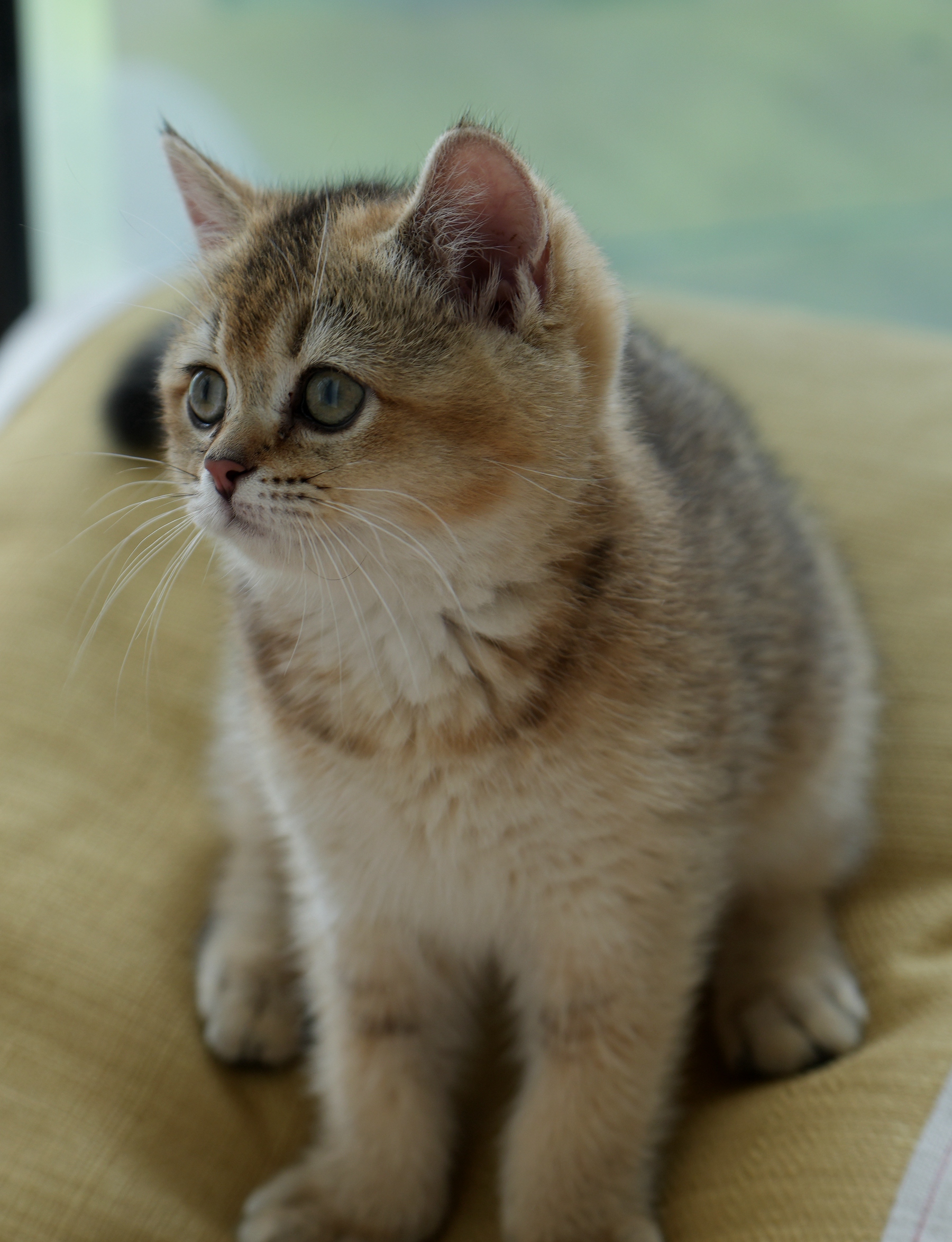 DSC03709_副本.jpg