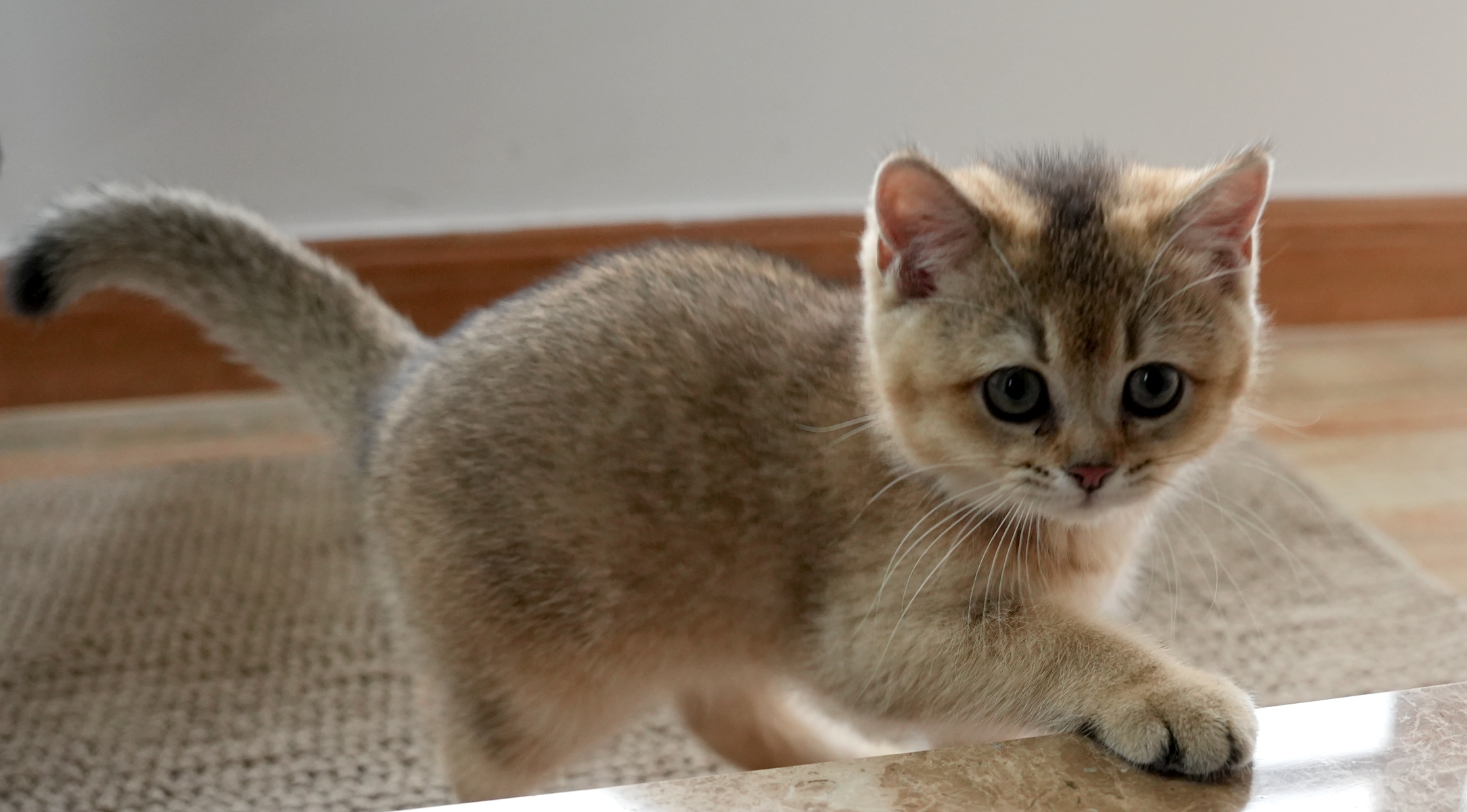 DSC03761_副本.jpg