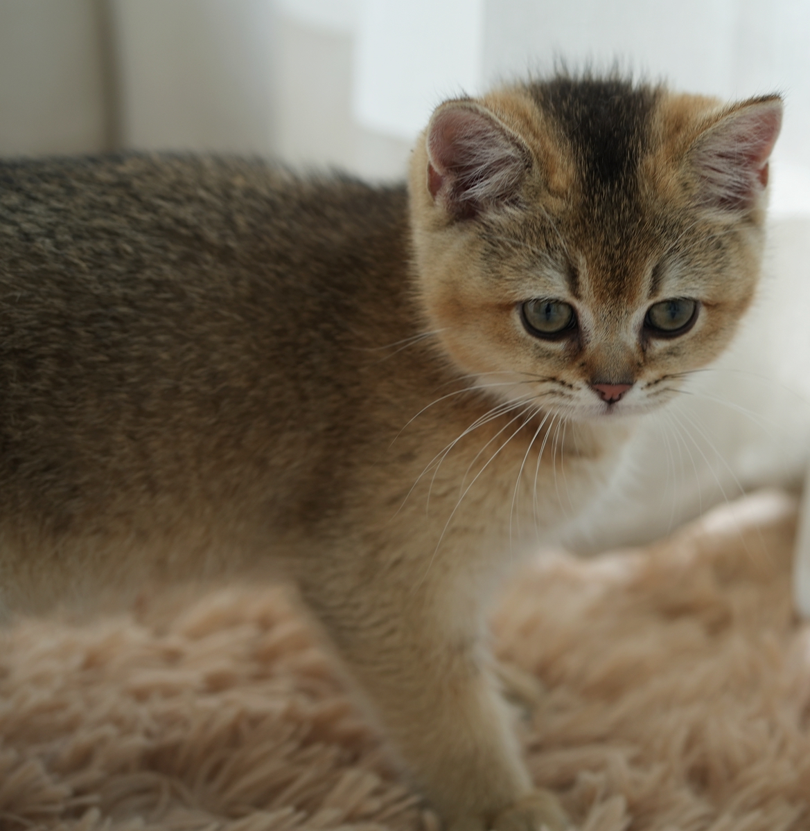 DSC03772_副本.jpg