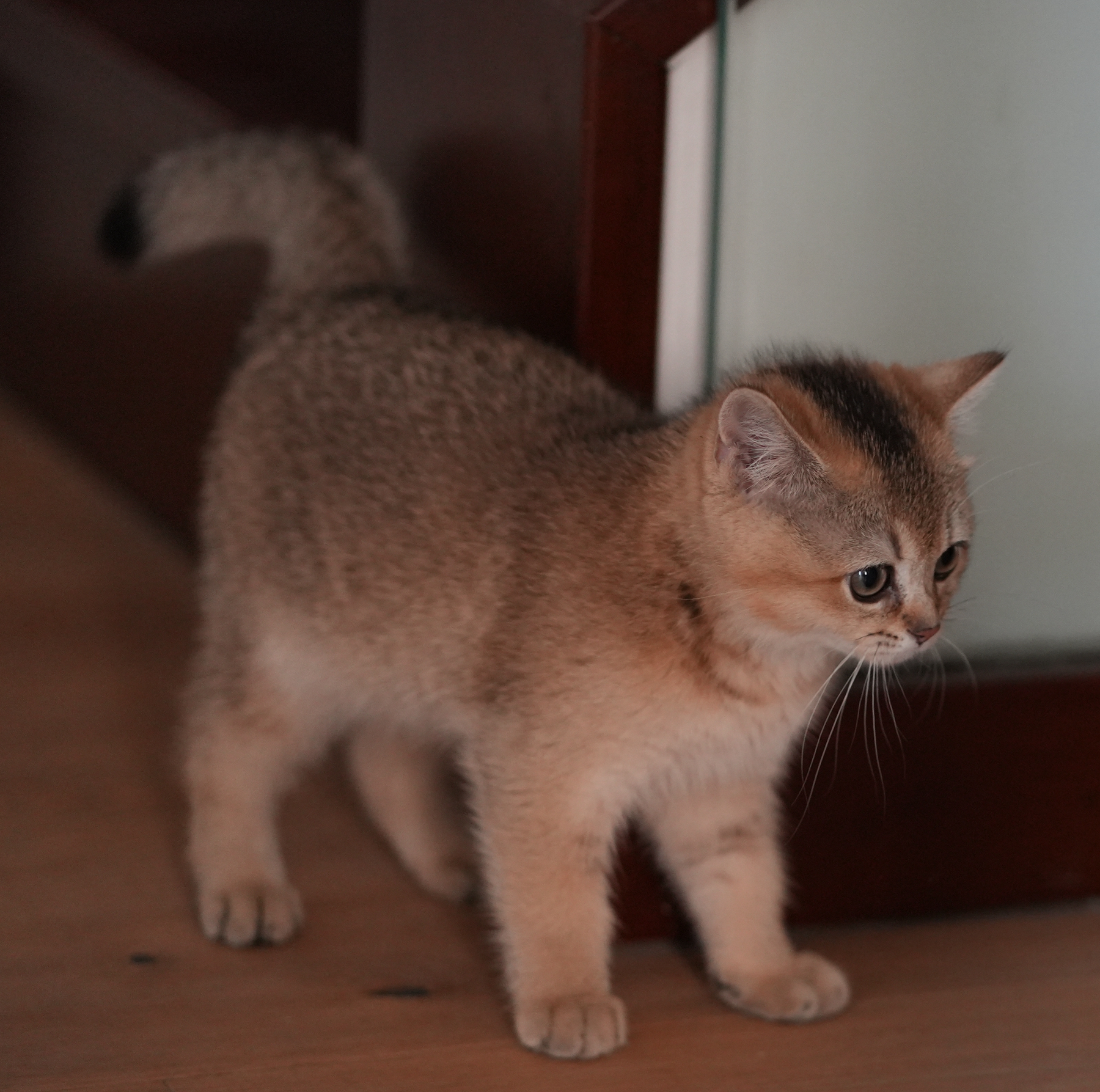 DSC03793_副本.jpg