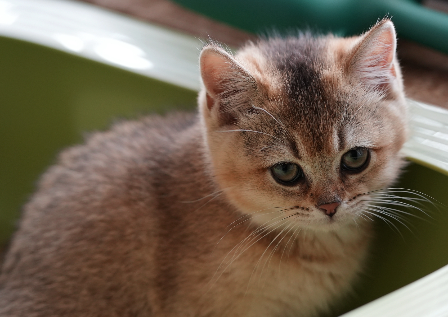 DSC03805_副本.jpg