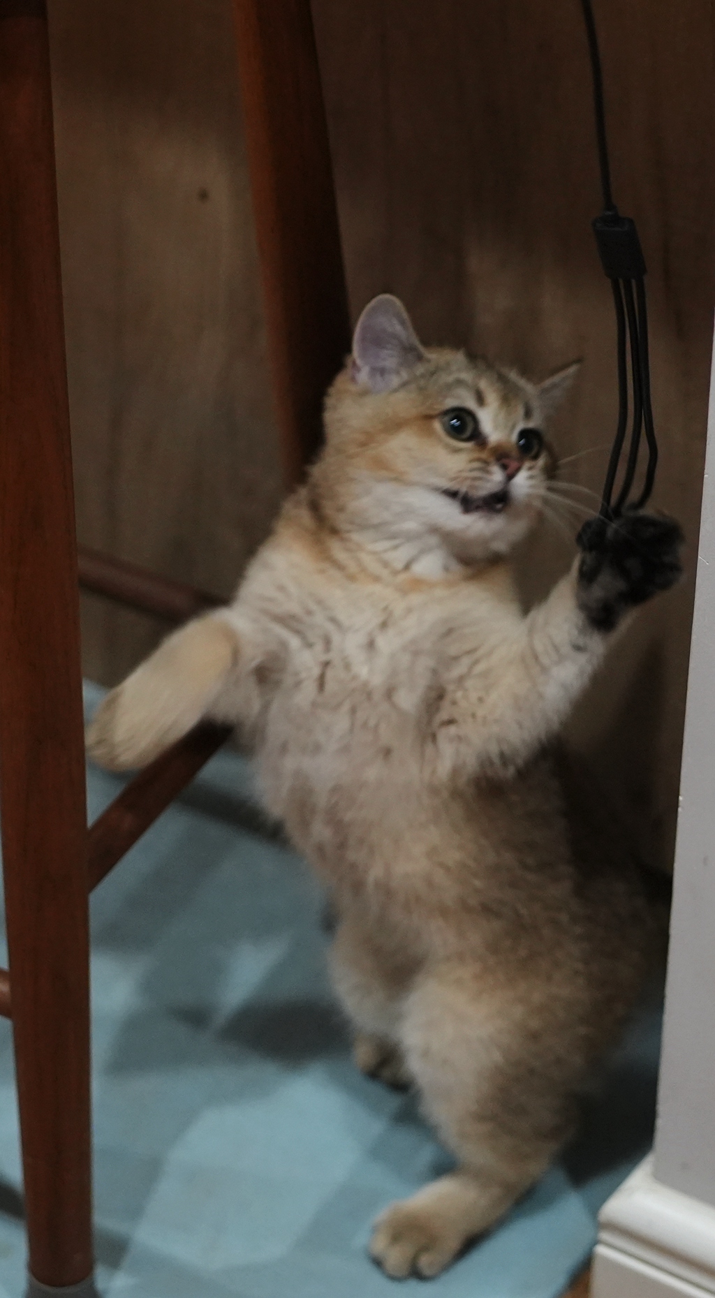 DSC03982_副本.jpg