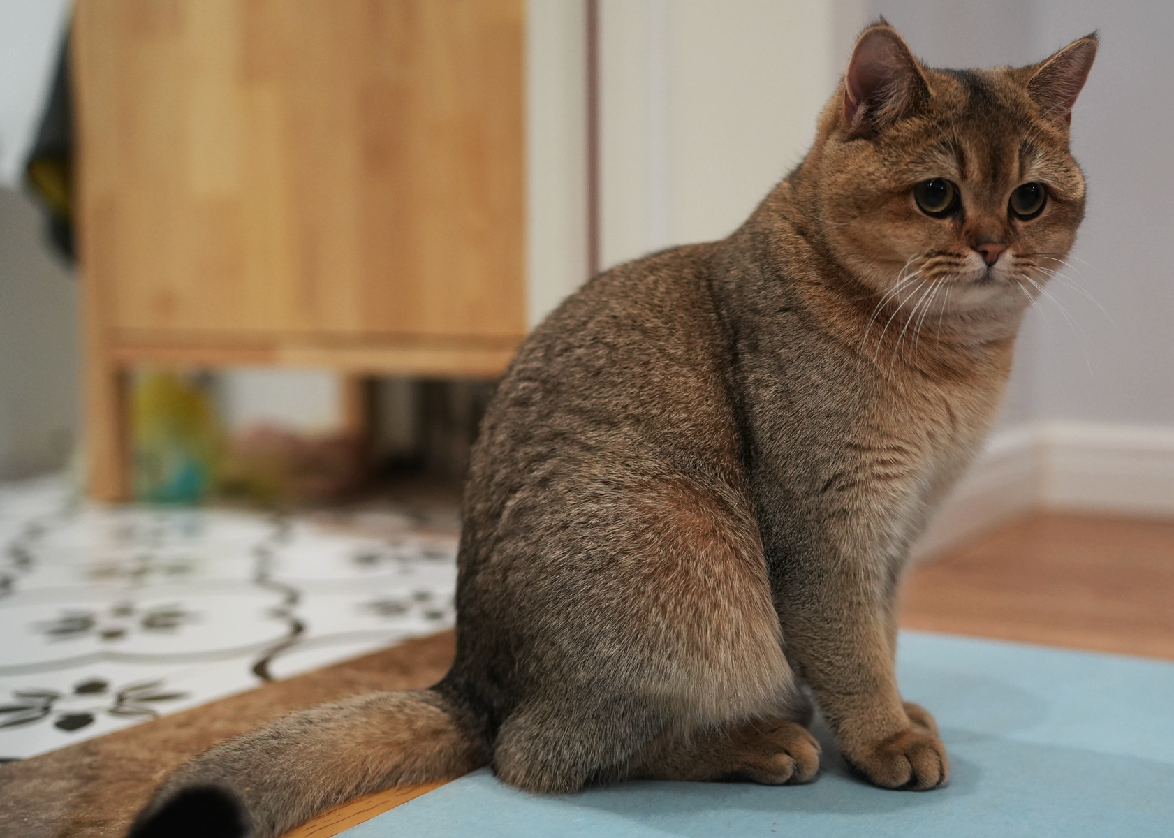 DSC09923_副本.jpg