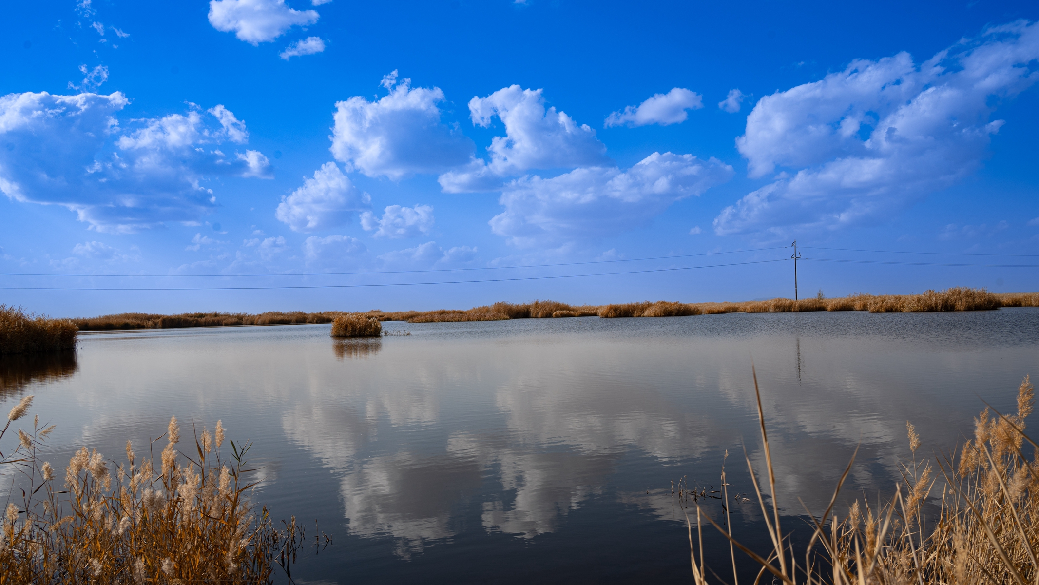 DSC06029_副本.jpg