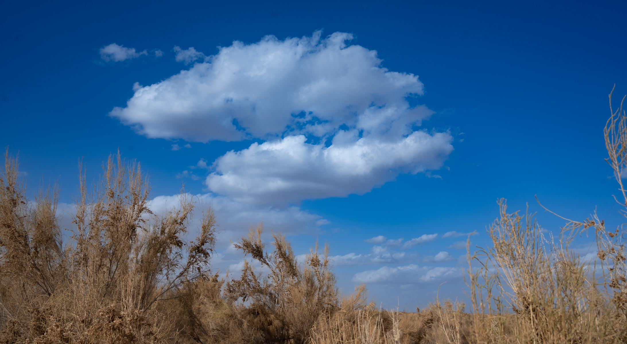 DSC06087_副本.jpg