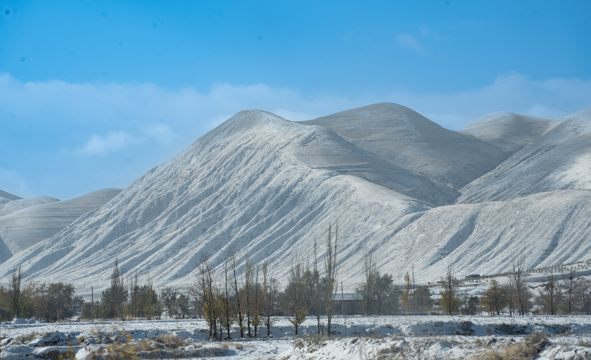 DSC06188_副本.jpg